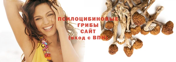 2c-b Богородицк